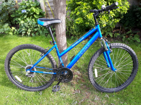 raleigh surge mountain bike